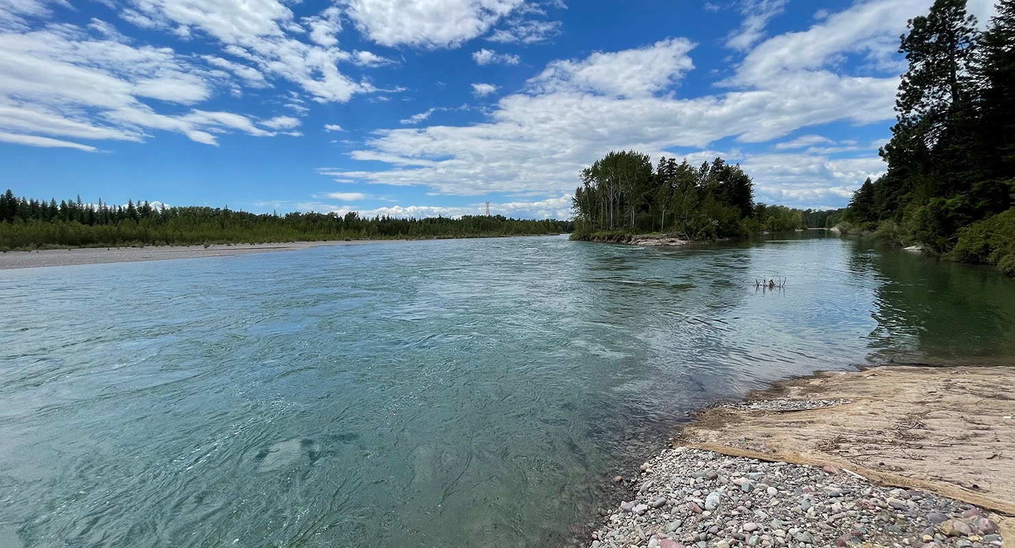 The Flathead River after the project where the sheetpile and riprap were removed.
Photo courtesy of CFAC.