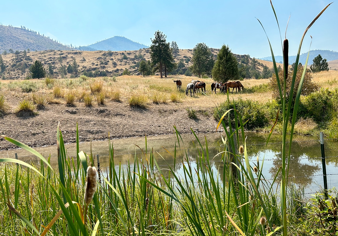 The project focused on preserving native habitats and minimizing environmental impacts.