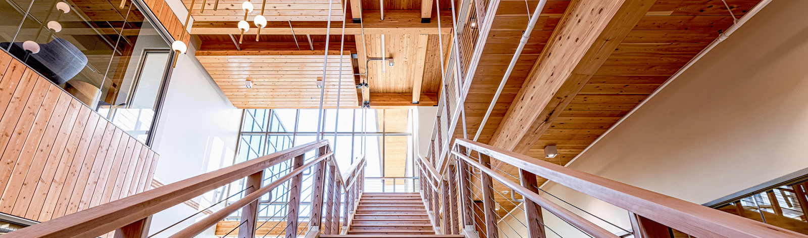 What You Need to Know About Fire Protection Systems in Mass Timber Buildings