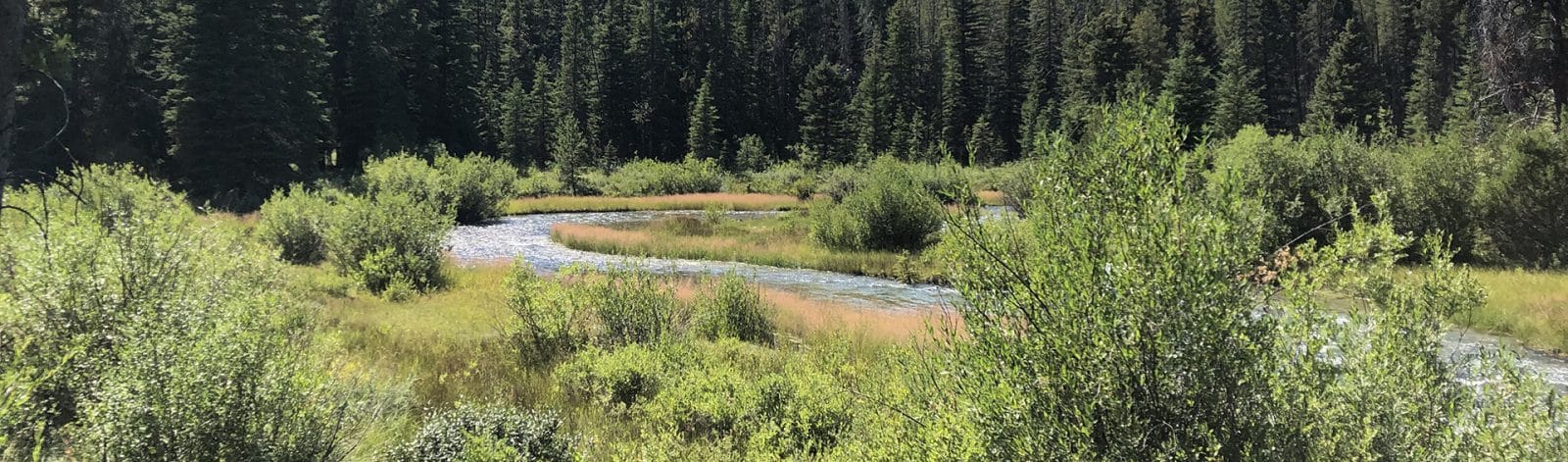 East Fork Rock Creek Dam Rehabilitation Project Environmental Assessment