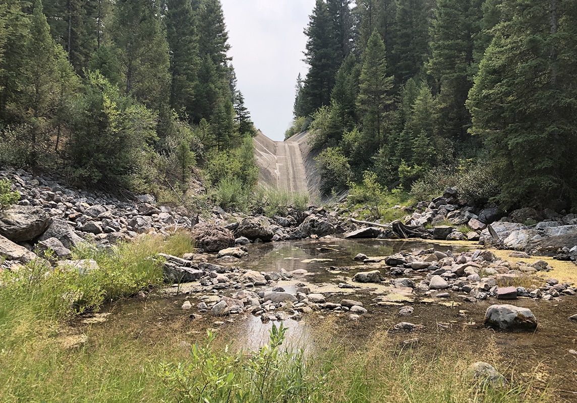 The project evaluated potential impacts to bull trout, grizzly bear, and Canada lynx. 