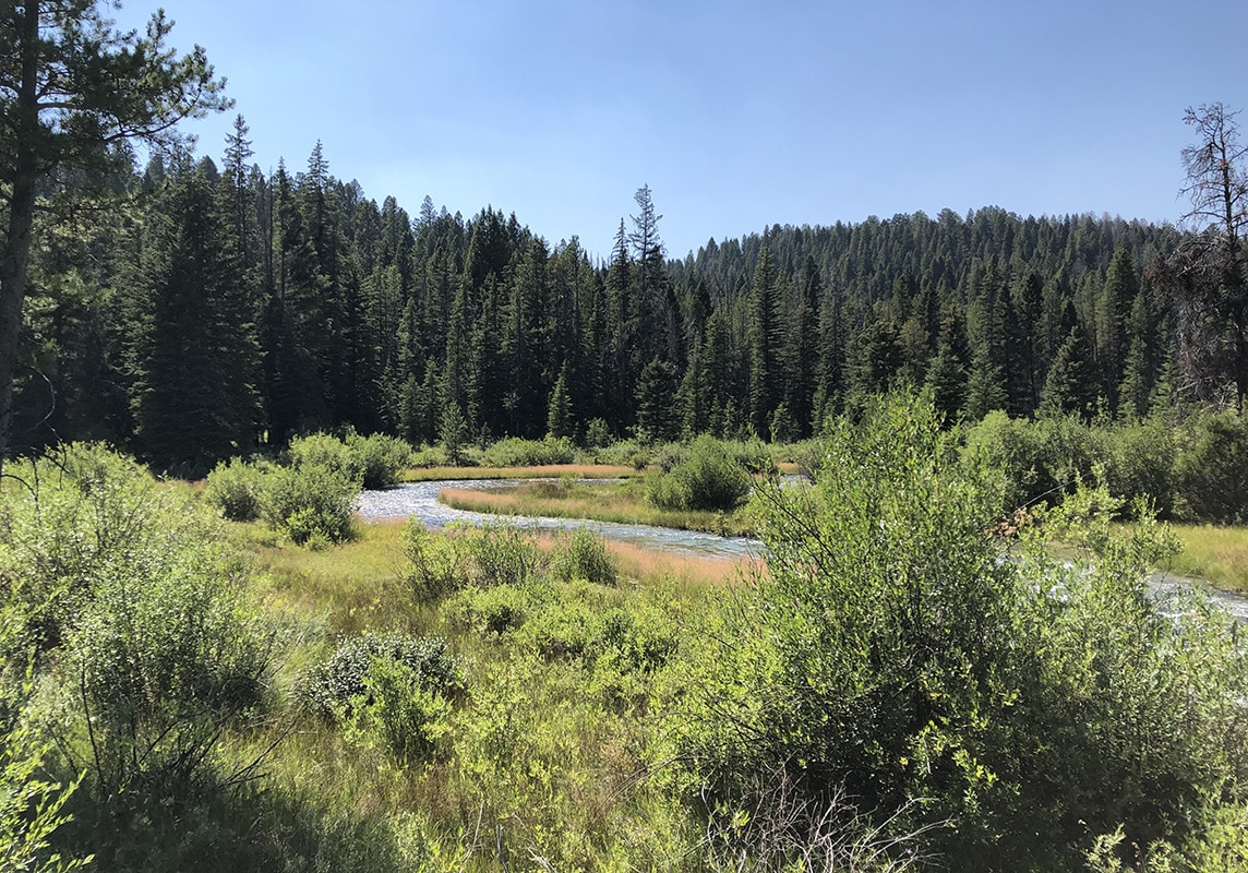 We worked closely with the DNRC, the U.S. Forest Service, and other agencies throughout the project. 