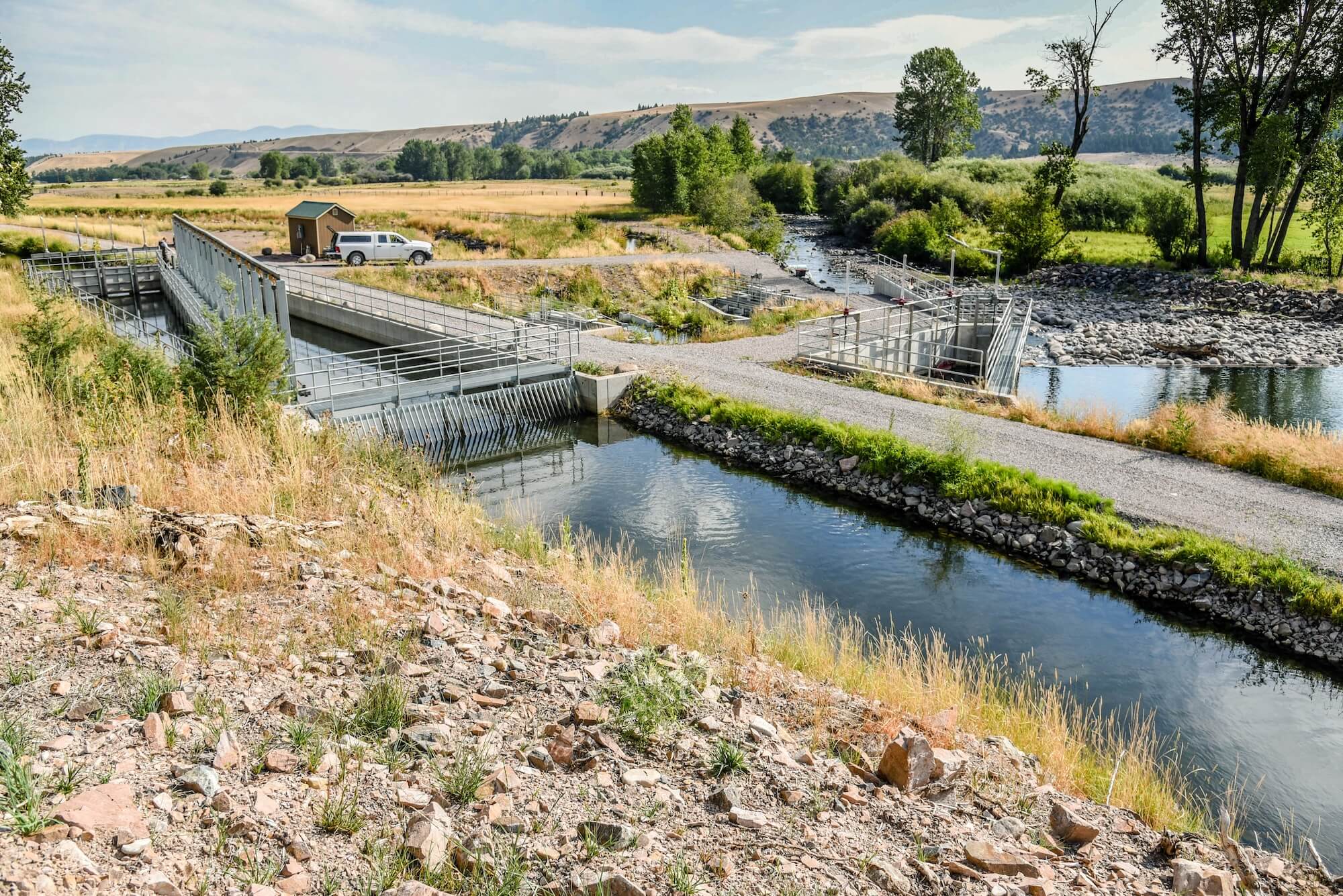 Header Background Image