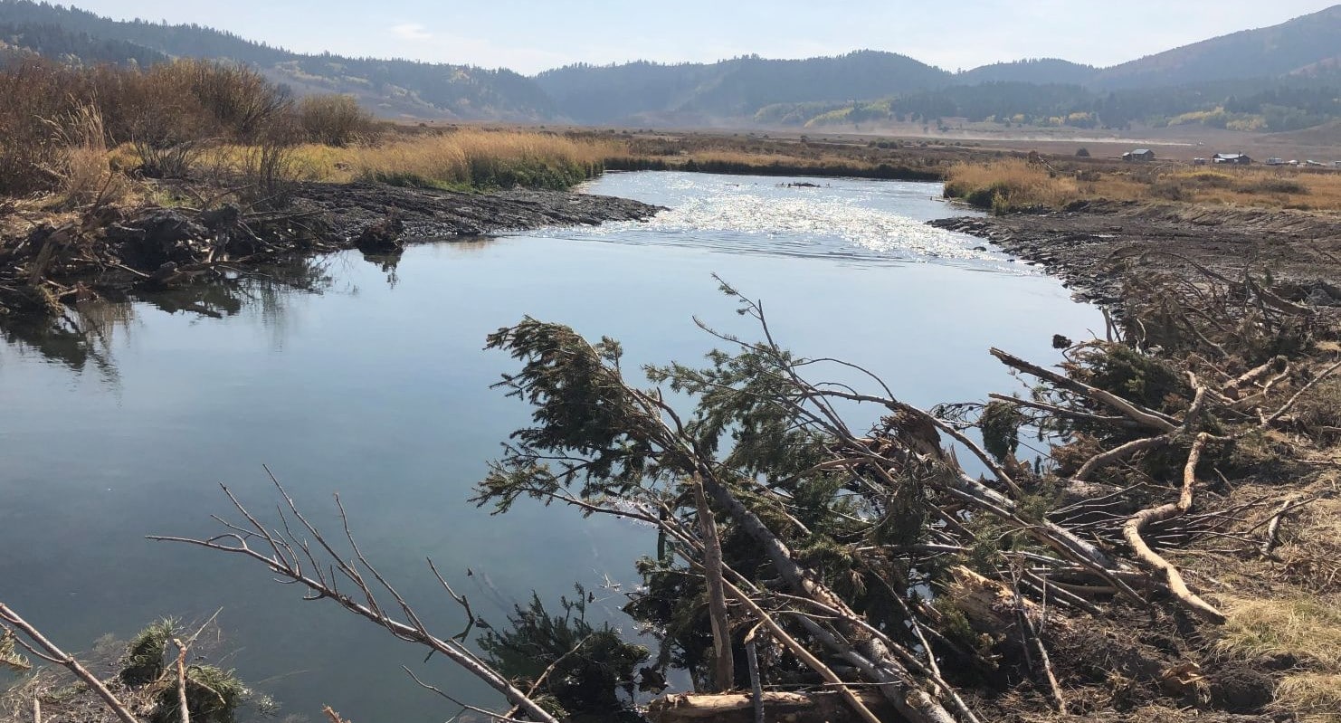 Thousands of trees and large woody debris were placed in the river to add roughness and rebuild fish habitat.