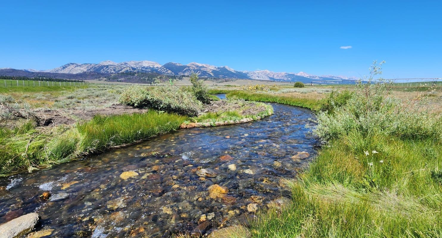 Willow-sedge benches were installed to constrict over-widened sections of channel and restore native riparian vegetation.