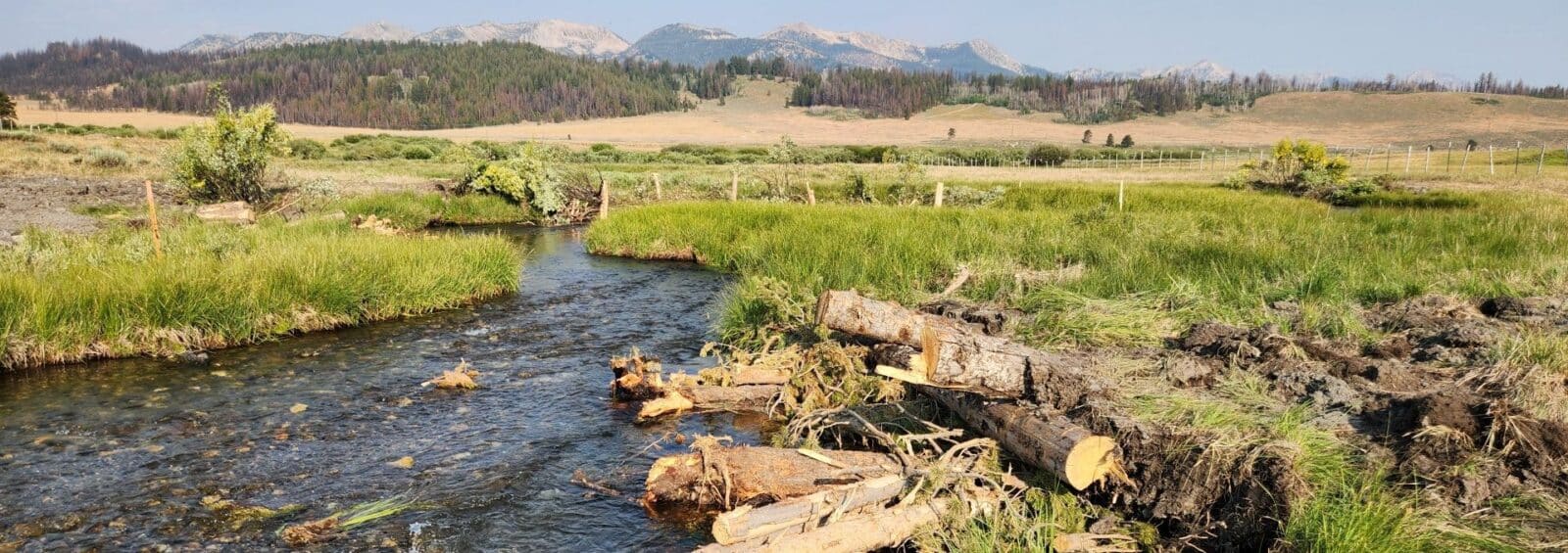 Pole Creek Stream Restoration