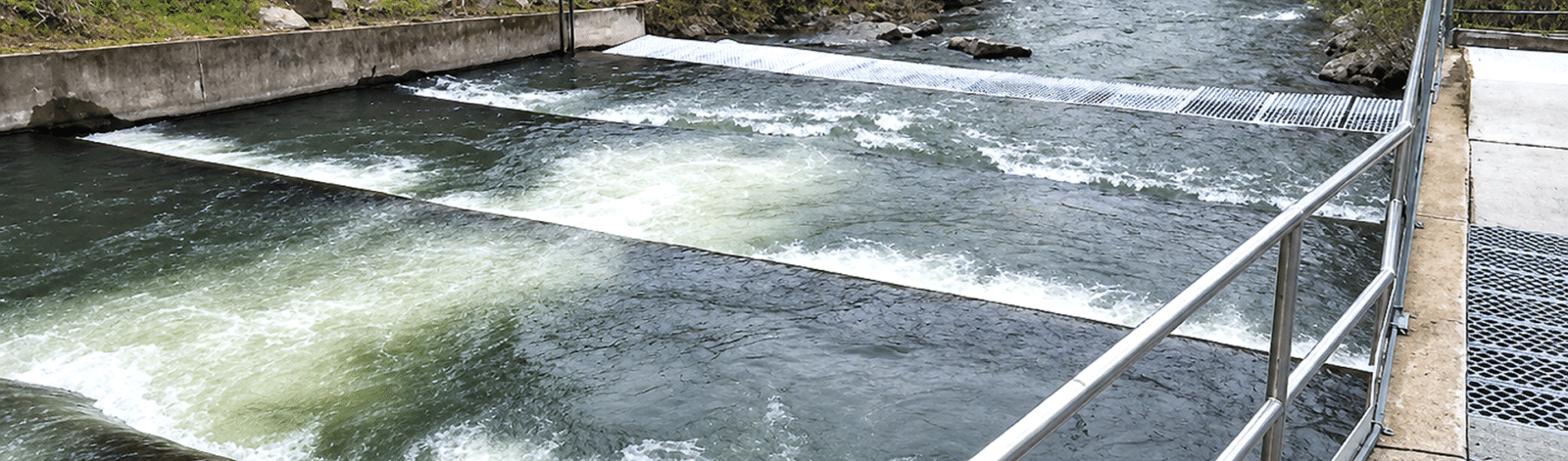 Catherine Creek Fish Passage