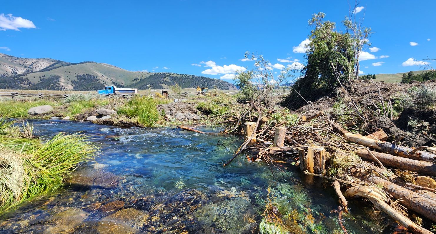 Willow clump bank structures were installed along the outer bends to establish pool cover and provide embankment stability. Over 300 locally harvested willow clumps were installed along the banks of Pole Creek.