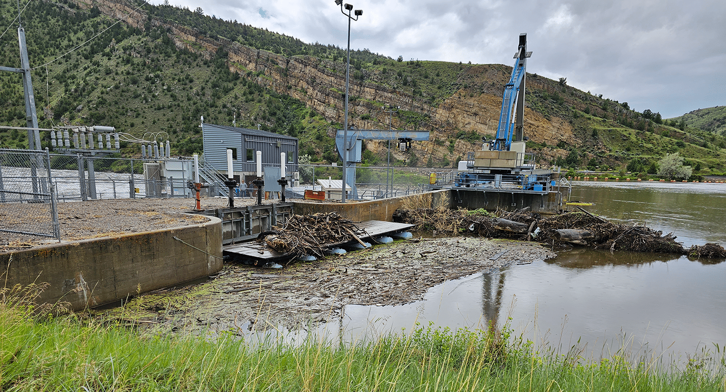 Accumulated organic debris at Toston Dam's intake structure is a persistent problem that requires frequent clearing to protect the downstream structures and irrigation systems.